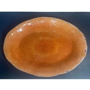 Pier 1 NWT Carmelo plate big  plastic  plate // for camping / home party